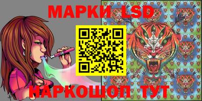 стафф Будённовск