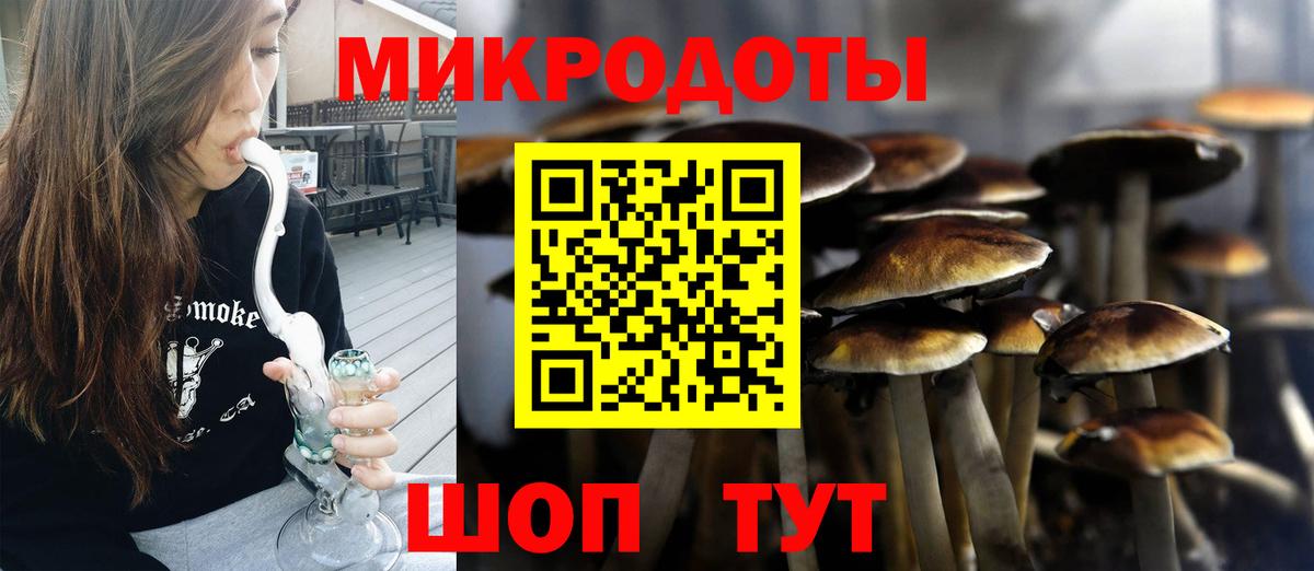 Старая Купавна  наркота  Вход с VPN  Псилоцибиновые грибы Psilocybe 